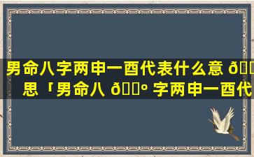 男命八字两申一酉代表什么意 🐅 思「男命八 🌺 字两申一酉代表什么生肖」